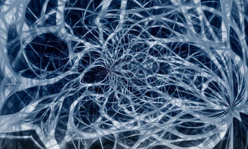 A close up image of nerves, a tangle of confusion